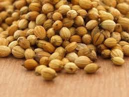 Manufacturers Exporters and Wholesale Suppliers of Coriander Seeds Ahmedabad Gujarat